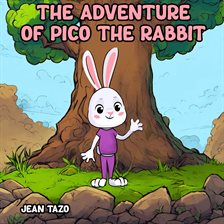 Cover image for The Adventure of Pico the Rabbit