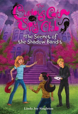 Cover image for The Secret of the Shadow Bandit