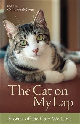 Cover image for The Cat on My Lap