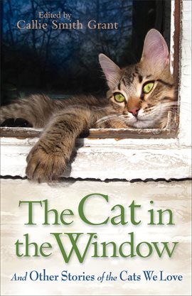Imagen de portada para The Cat in the Window