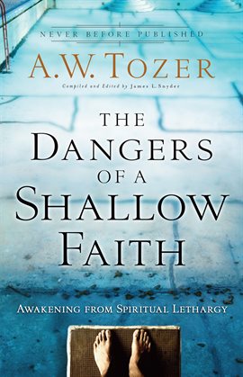 Cover image for The Dangers of a Shallow Faith