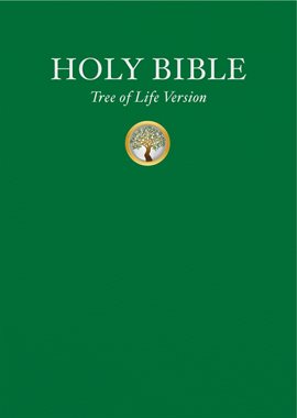 Cover image for Holy Scriptures