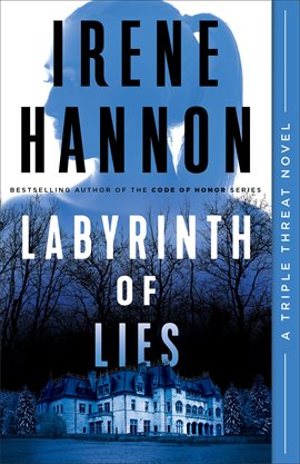 Imagen de portada para Labyrinth of Lies