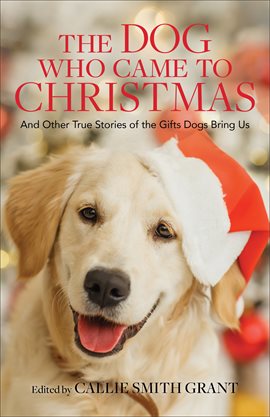 Cover image for The Dog Who Came to Christmas