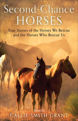 Cover image for Second-Chance Horses