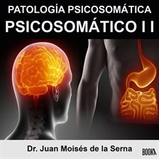 Cover image for Psicosomático II