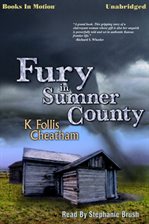 Cover image for Fury in Sumner County