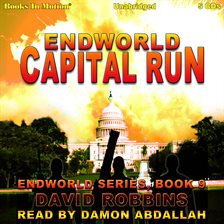 Cover image for Capital Run