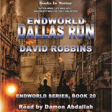 Cover image for Dallas Run