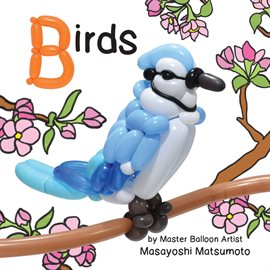 Cover image for Birds