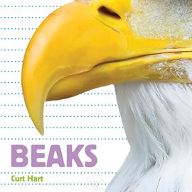 Cover image for Beaks