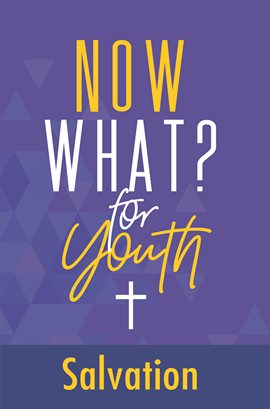 Cover image for Now What? for Youth Salvation