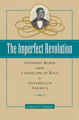 Cover image for The Imperfect Revolution