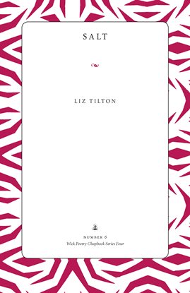 Cover image for Salt