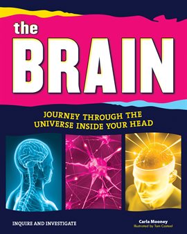 Cover image for The Brain