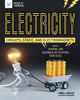 Cover image for Electricity