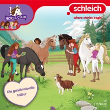 Die Geheimnisvolle Falltür Die Geheimnisvolle Falltür