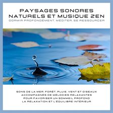 Paysages sonores naturels et musique zen – Dormir profondément, méditer, se ressourcer