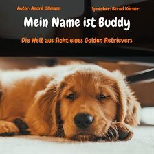 Mein Name ist Buddy - Die Welt aus Sicht eines Golden Retrievers Mein Name ist Buddy - Die Welt aus Sicht eines Golden Retrievers