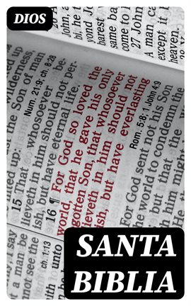 Cover image for Santa Biblia