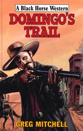 Cover image for Domingo's Trail