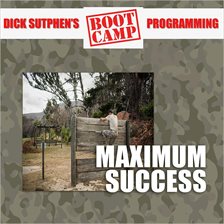 Cover image for Maximum Success