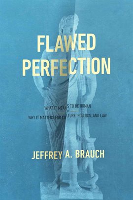 Imagen de portada para Flawed Perfection