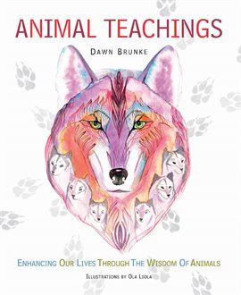Cover image for Animal Teachings