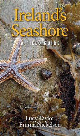 Imagen de portada para Ireland's Seashore