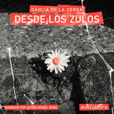 Desde Los Zulos