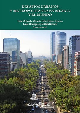 Cover image for Desafíos urbanos y metropolitanos en México y el mundo