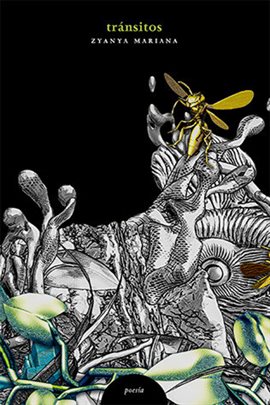 Cover image for Tránsitos