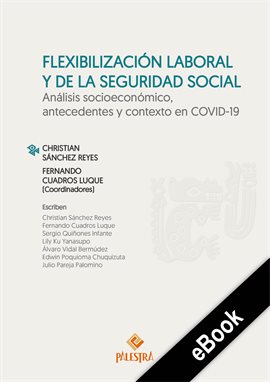 Cover image for Flexibilización laboral y de la seguridad social