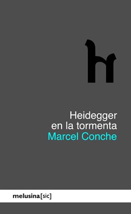 Heidegger en la tormenta