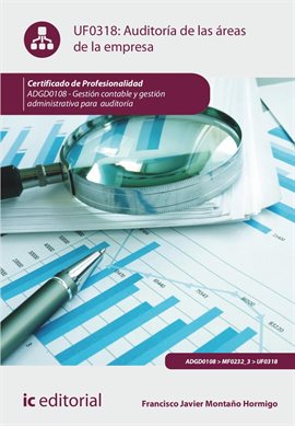 Cover image for Auditoría de las áreas de la empresa