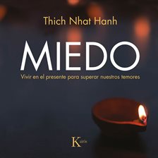 Cover image for Miedo