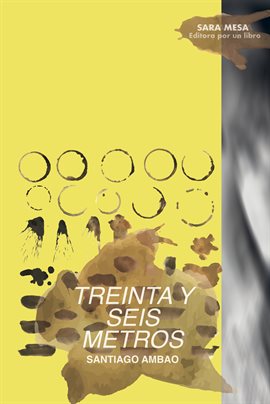 Cover image for Treinta y seis metros
