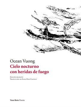 Cover image for Cielo nocturno con heridas de fuego