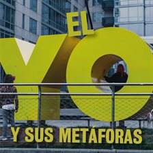 Cover image for El yo y sus metáforas