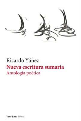 Cover image for Nueva escritura sumaria