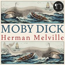 Cover image for Moby dick