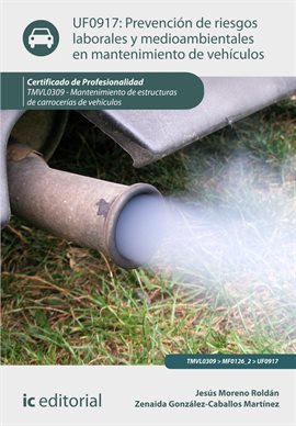 Cover image for Prevención de riesgos laborales y medioambientales en mantenimiento de vehículos.