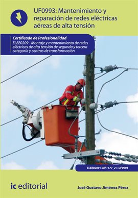 Cover image for Mantenimiento de redes eléctricas aéreas de alta tensión.