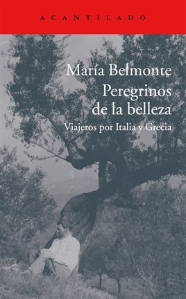 Cover image for Peregrinos de la belleza