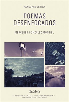 Imagen de portada para Poemas desenfocados