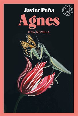 Cover image for Agnes