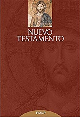 Cover image for Nuevo Testamento
