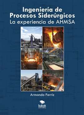 Cover image for Ingeniería de procesos siderúrgicos