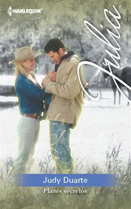 Cover image for Planes secretos