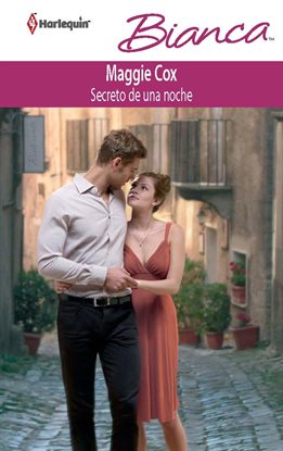 Cover image for Secreto de una noche